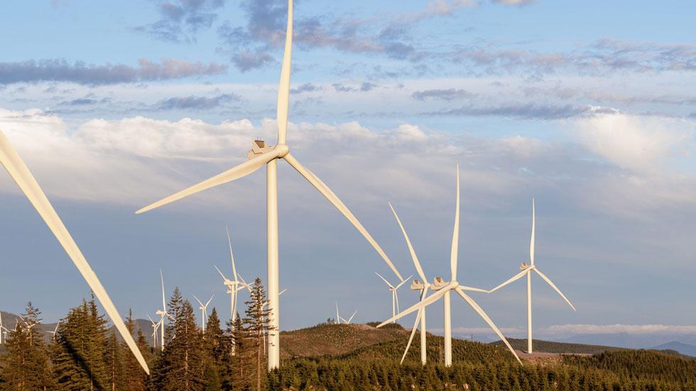 Windfarm