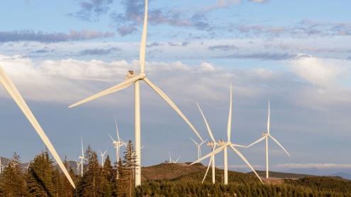 Windfarm